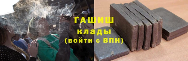 мдпв Няндома