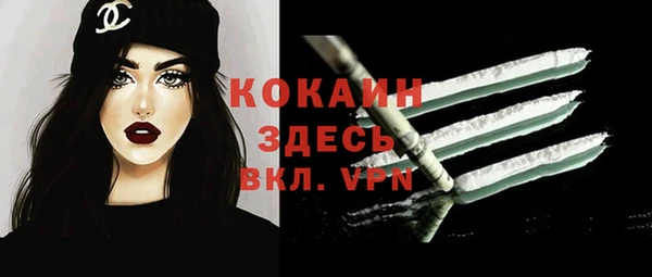Альфа ПВП Осинники