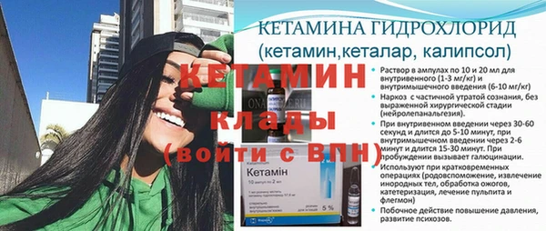 шишки Гатчина
