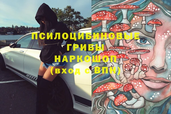 тгк Осташков