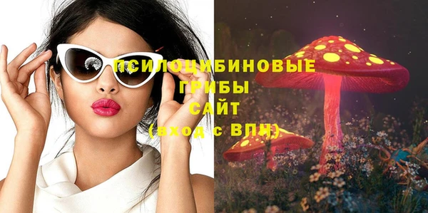 Альфа ПВП Осинники