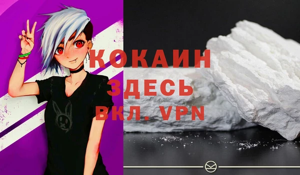 мдпв Няндома