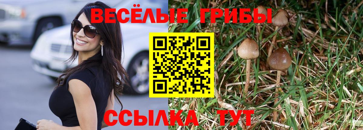 Галлюциногенные грибы Psilocybine cubensis  Вход с VPN  Балабаново 