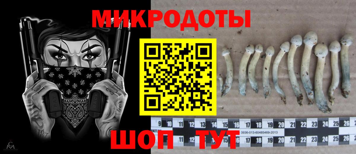 Галлюциногенные грибы MAGIC MUSHROOMS  Балабаново  сколько стоит  Псилоцибиновые грибы MAGIC MUSHROOMS 